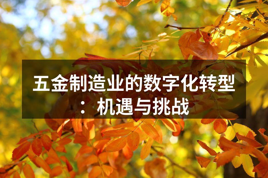 五金制造业的数字化转型:机遇与挑战