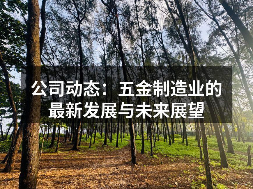 公司动态：五金制造业的最新发展与未来展望