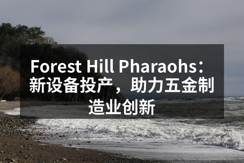 Forest Hill Pharaohs:新设备投产,助力五金制造业创新